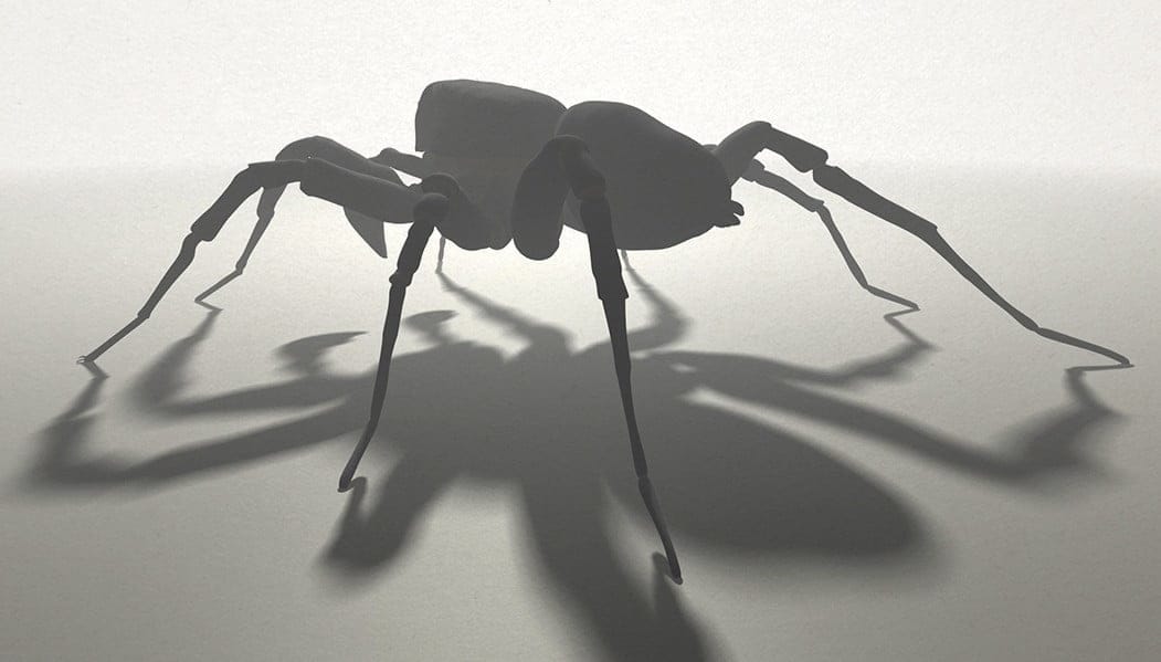 Pardosa Proxima 3D Gegenlicht, Identisch und doch Grundverschieden, ikonaut