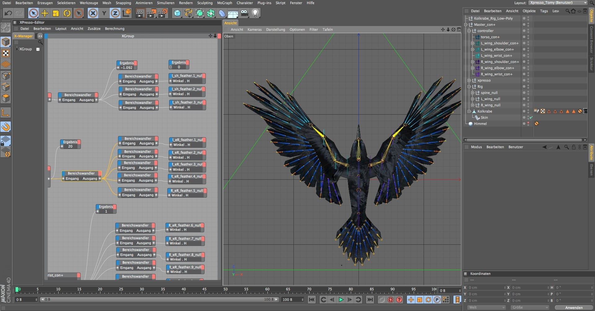 Kolkrabe Rig 2, birdly, ikonaut