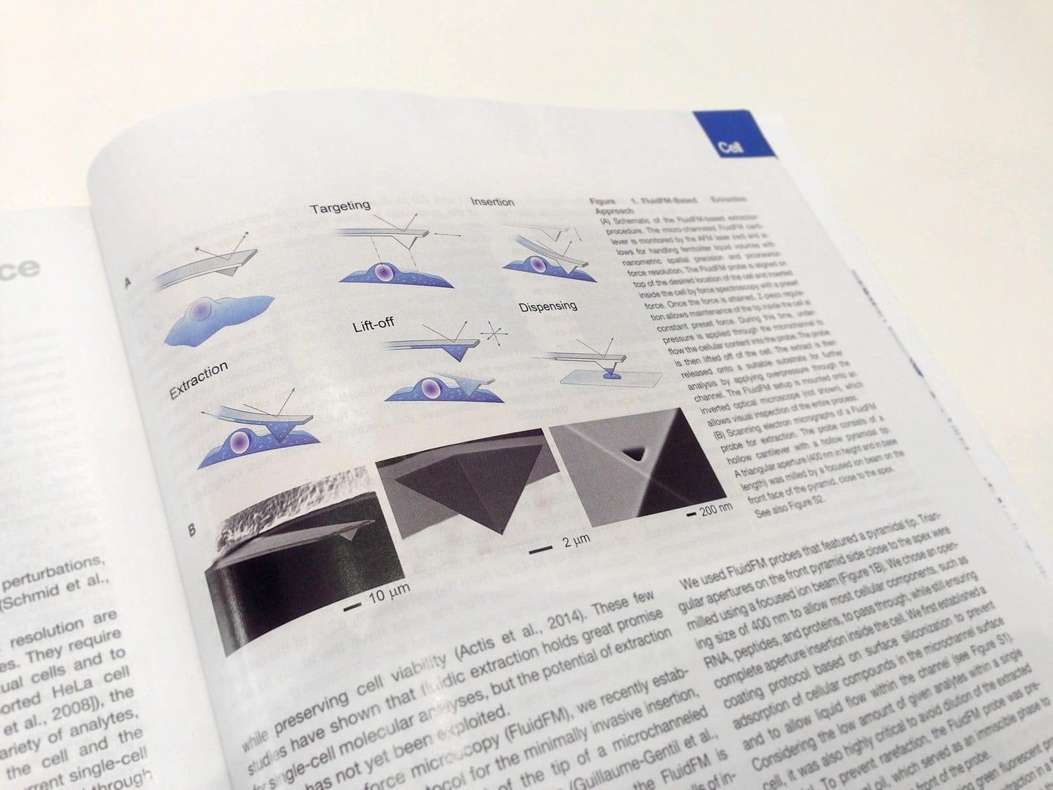 Cell, V166 Single Cell-Extraction, Einzelzell-Extraktion, ikonaut