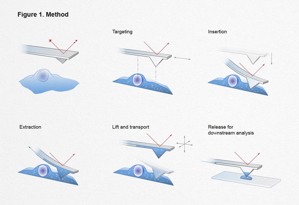 ETH, Single-cell analysis, einzelzell-extraktion, ikonaut