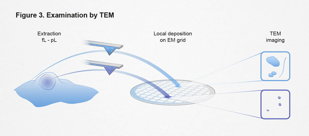ETH, Examination by TEM, einzelzell-extraktion, ikonaut