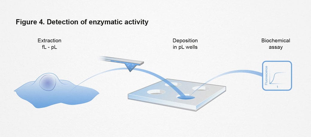 ETH, Detection of enzymatic activity, einzelzell-extraktion, ikonaut