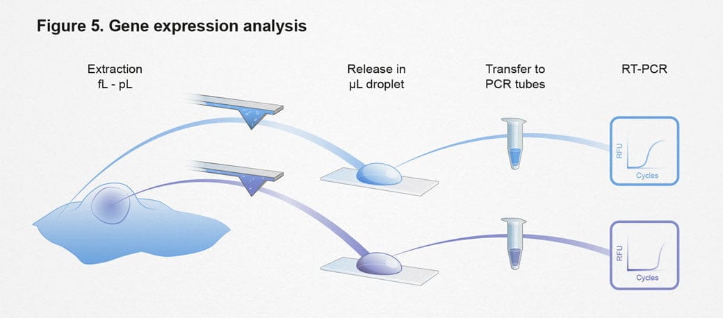 ETH, Gene expression analysis, einzelzell-extraktion, ikonaut