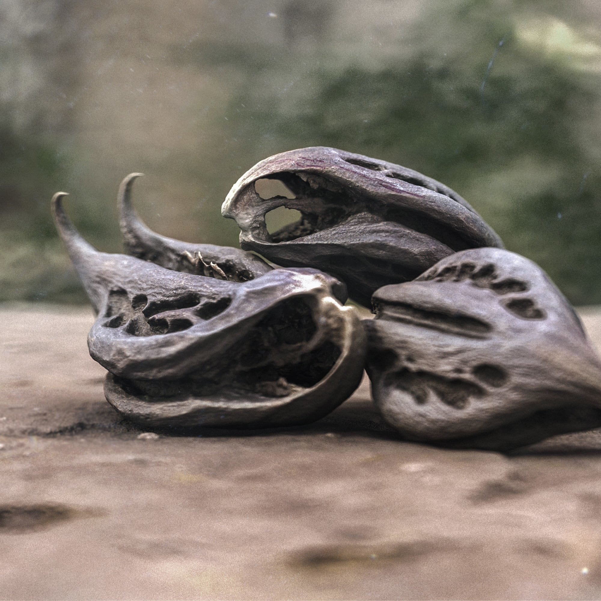 Martynie, Photogrammetrie, ikonaut