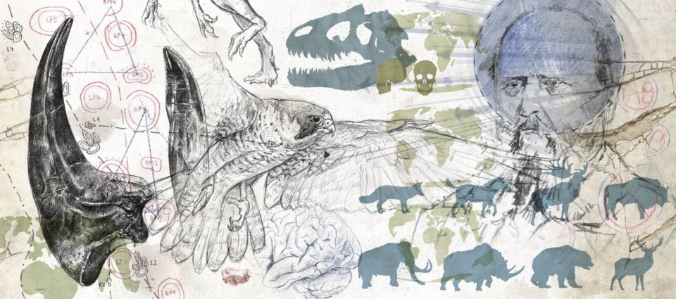 paléoskop, marsh, ikonaut