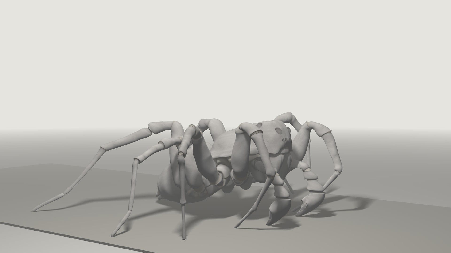 Pardosa Proxima, identisch und doch grundverschieden, ikonaut