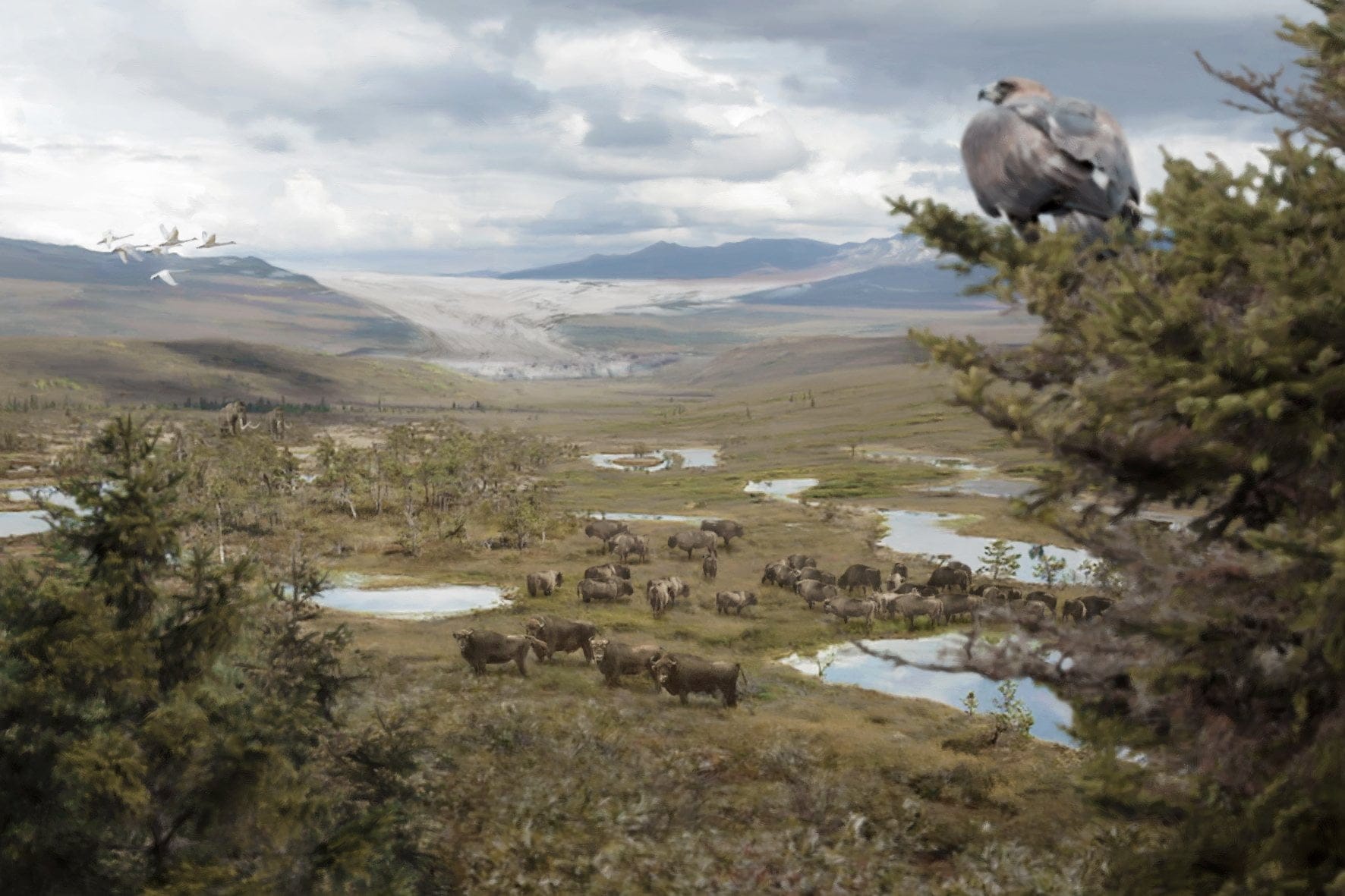 solothurns vergangenheit, Eiszeit, Rekonstruktion, ikonaut