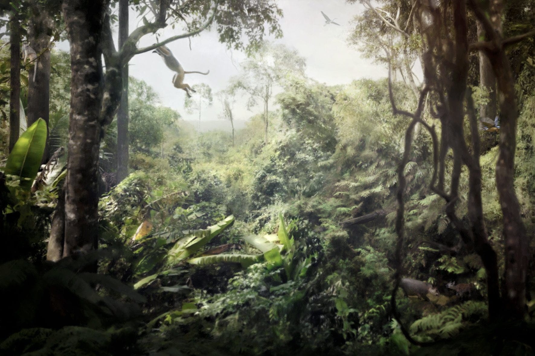 solothurns vergangenheit, Eozaen, Rekonstruktion, ikonaut