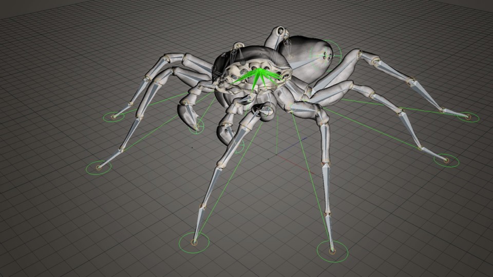 Pardosa Proxima, Identisch und doch Grundverschieden, Identical yet Different, ikonaut