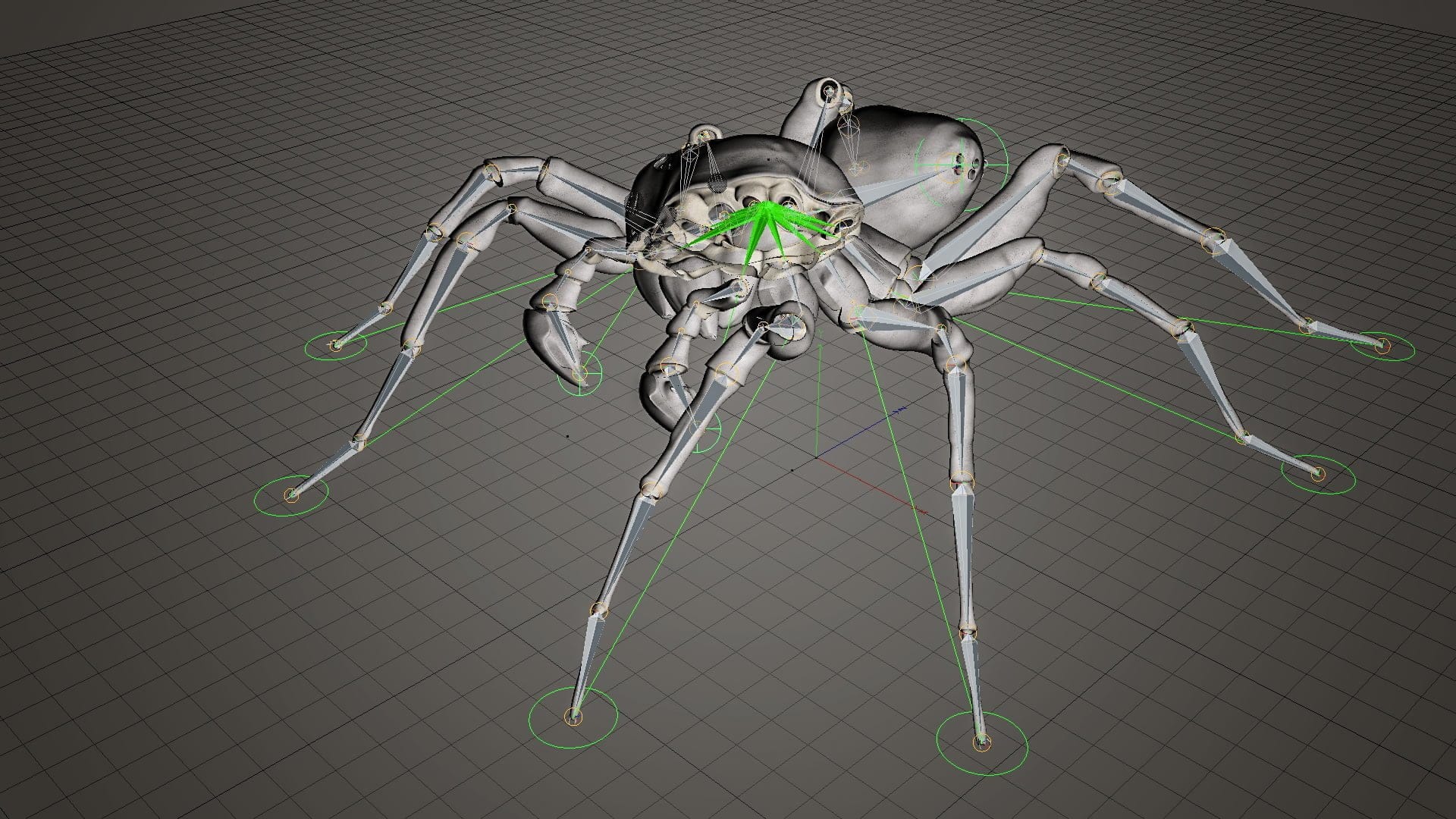 Pardosa Proxima, Identisch und doch Grundverschieden, Identical yet Different, ikonaut