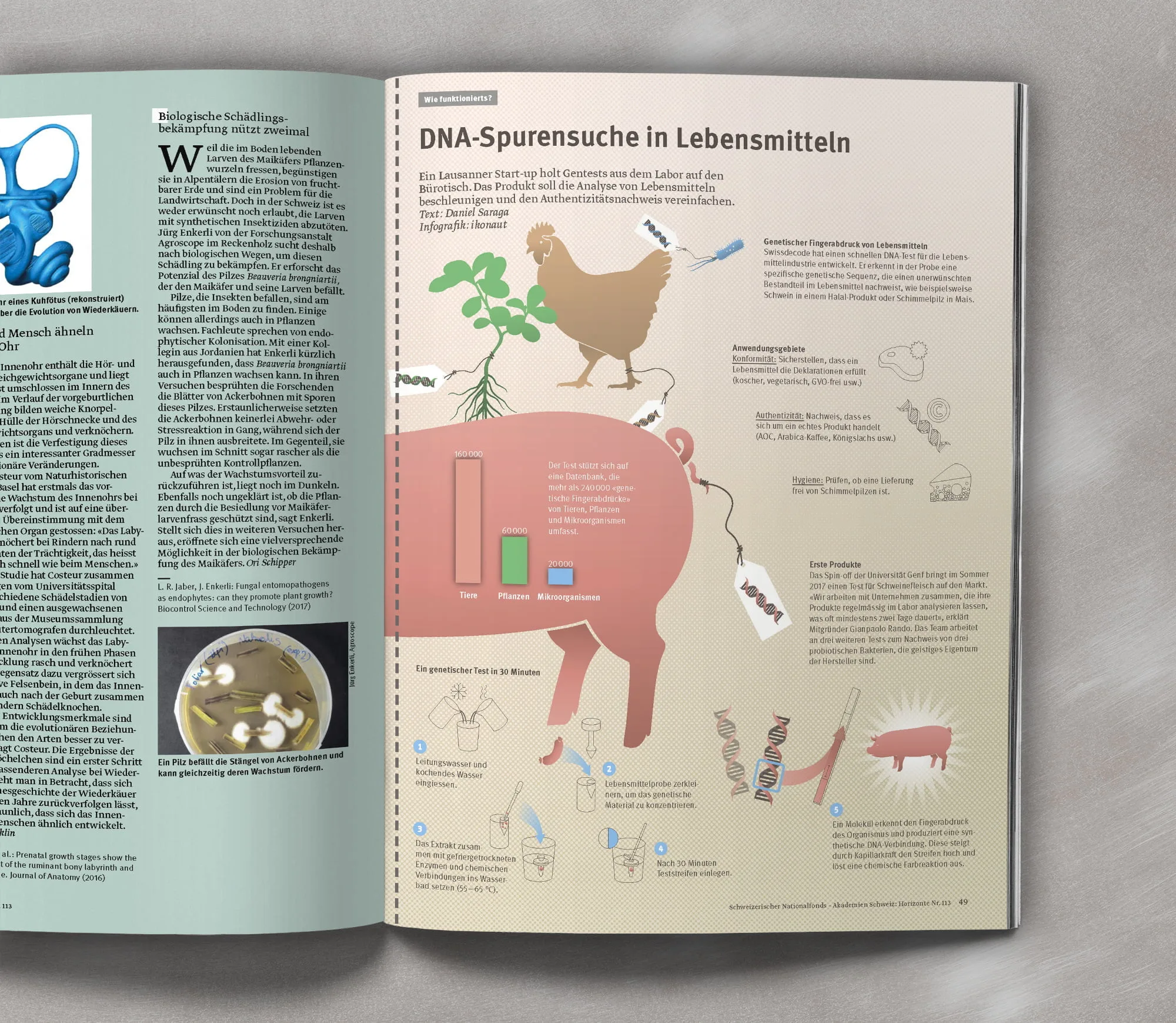 Horizonte 113 Infografik DNA-Spurensuche, SNF, ikonaut