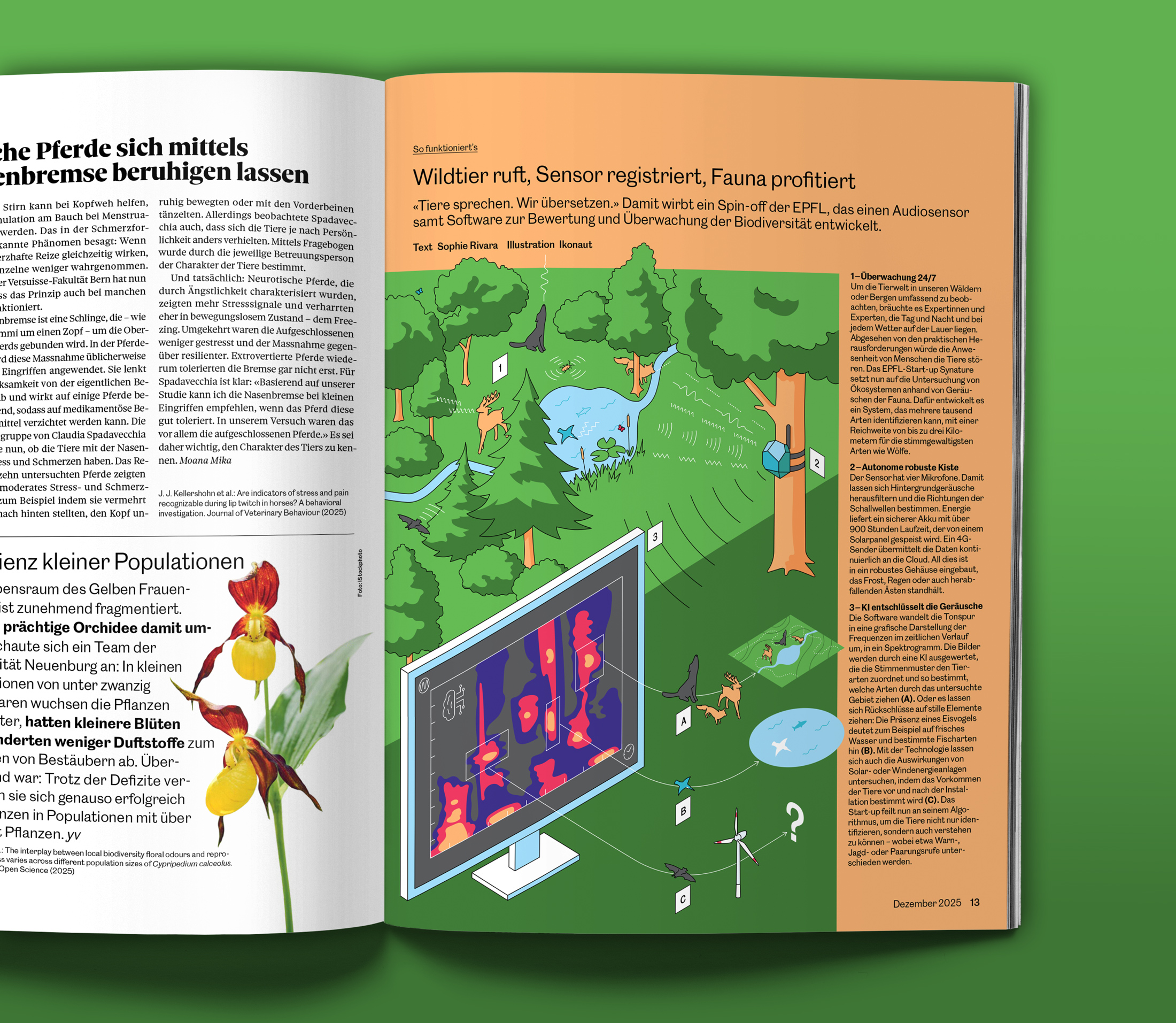 So funktionierts, Horizonte, Audiosensor, Infografik