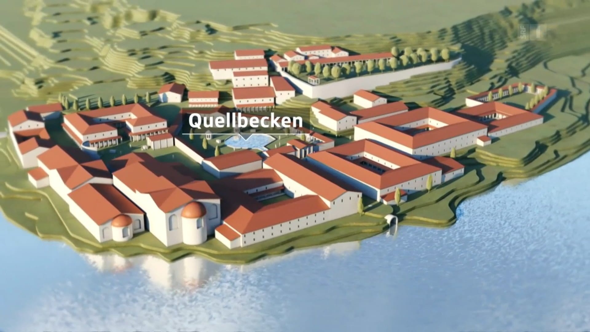 Einstein, Animation, totale_ikonaut