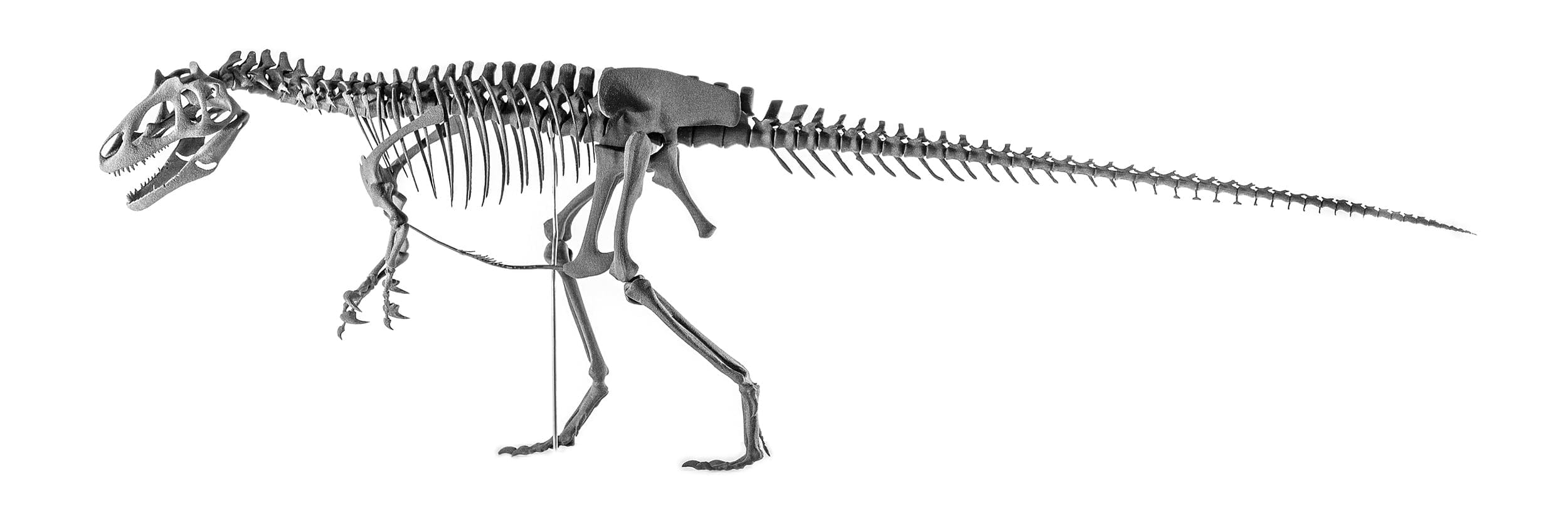 Allosaurus, sls-print, sintratec, ikonaut