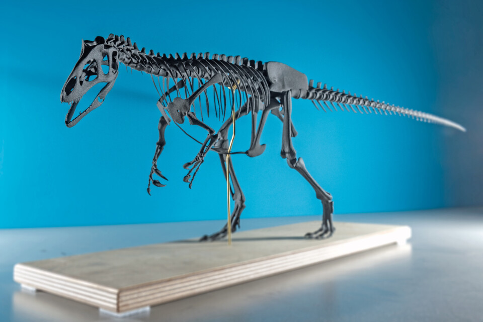 Allosaurus, 3d-print, colour, sintratec, ikonaut