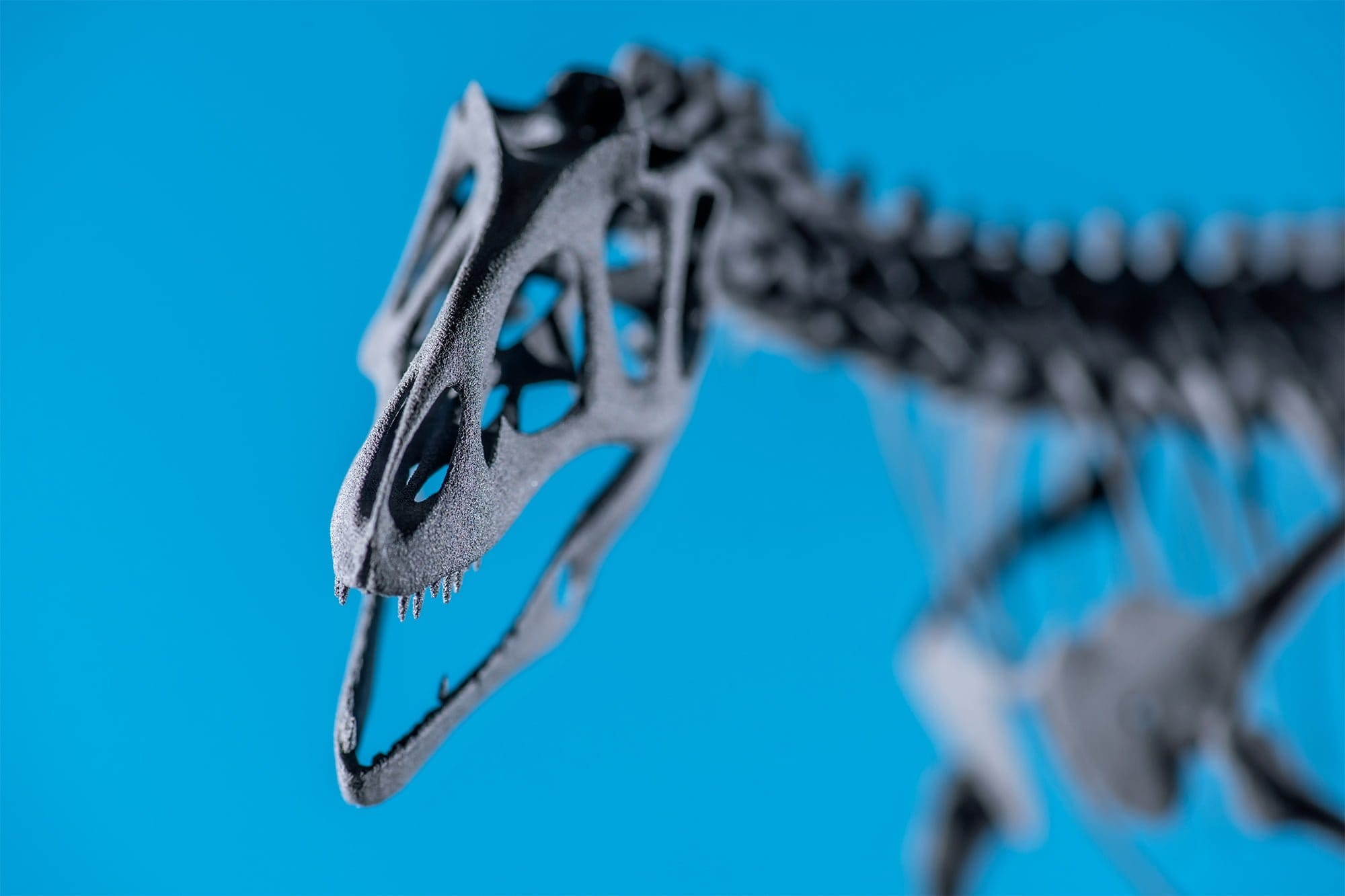 Allosaurus, sls-print, colour, zoom, sintratec, ikonaut