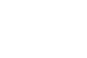 Logo WSL