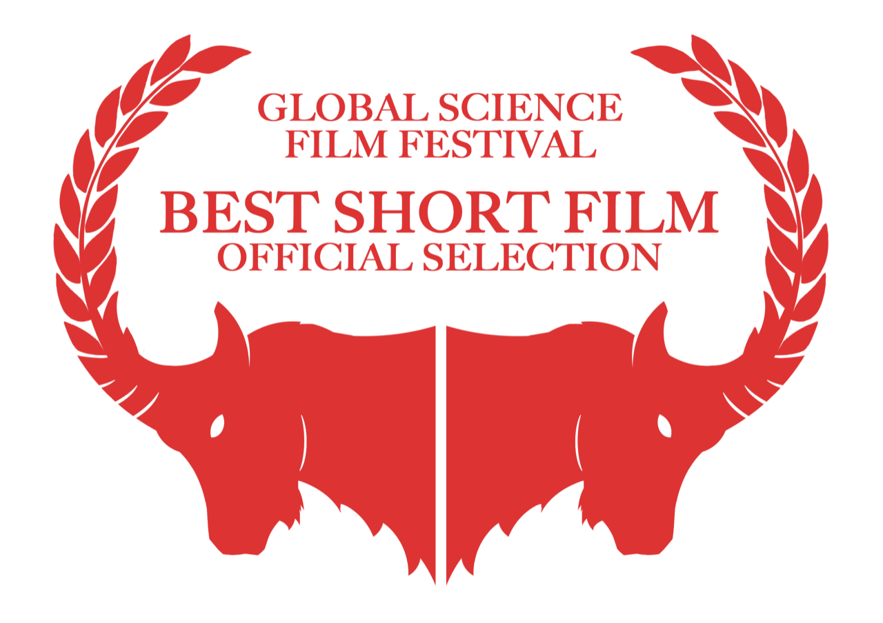Official-Selection-BEST-SHORT-FILM