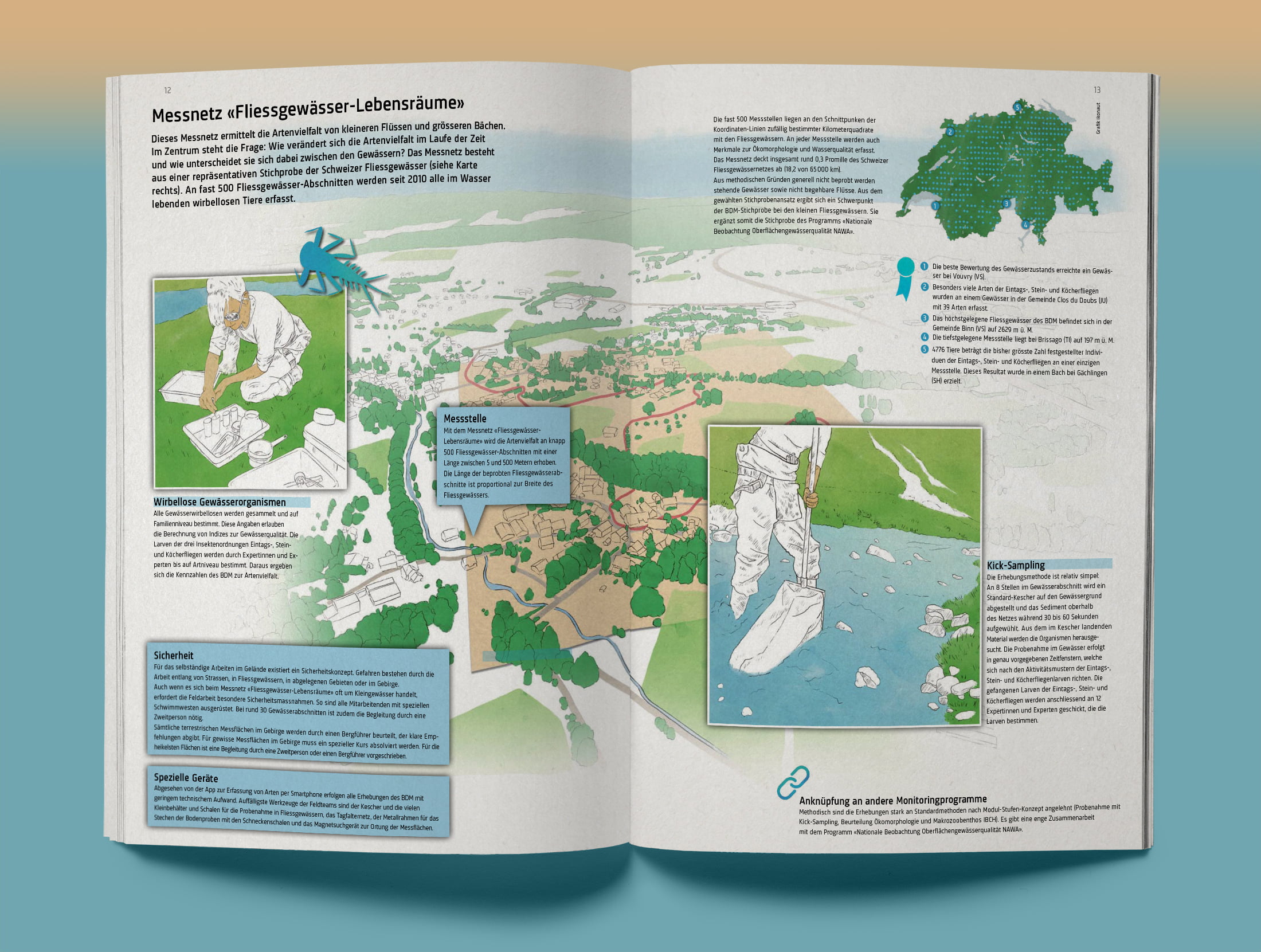 SCNAT, Biodiversitaetsmonitoring, Illustration, Messnetz Fliessgewaesser-Lebensraeume, ikonaut