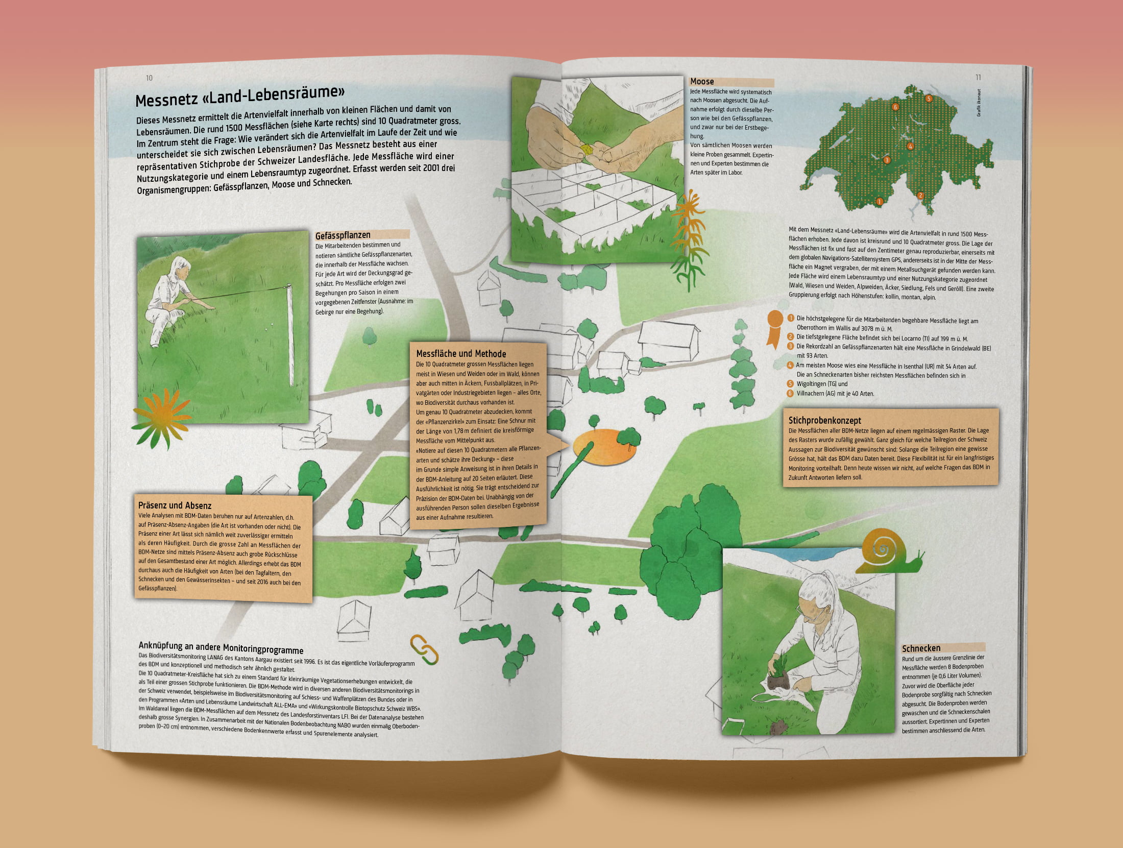 SCNAT, Biodiversitaetsmonitoring, Illustration, Messnetz Land-Lebensraeume, ikonaut
