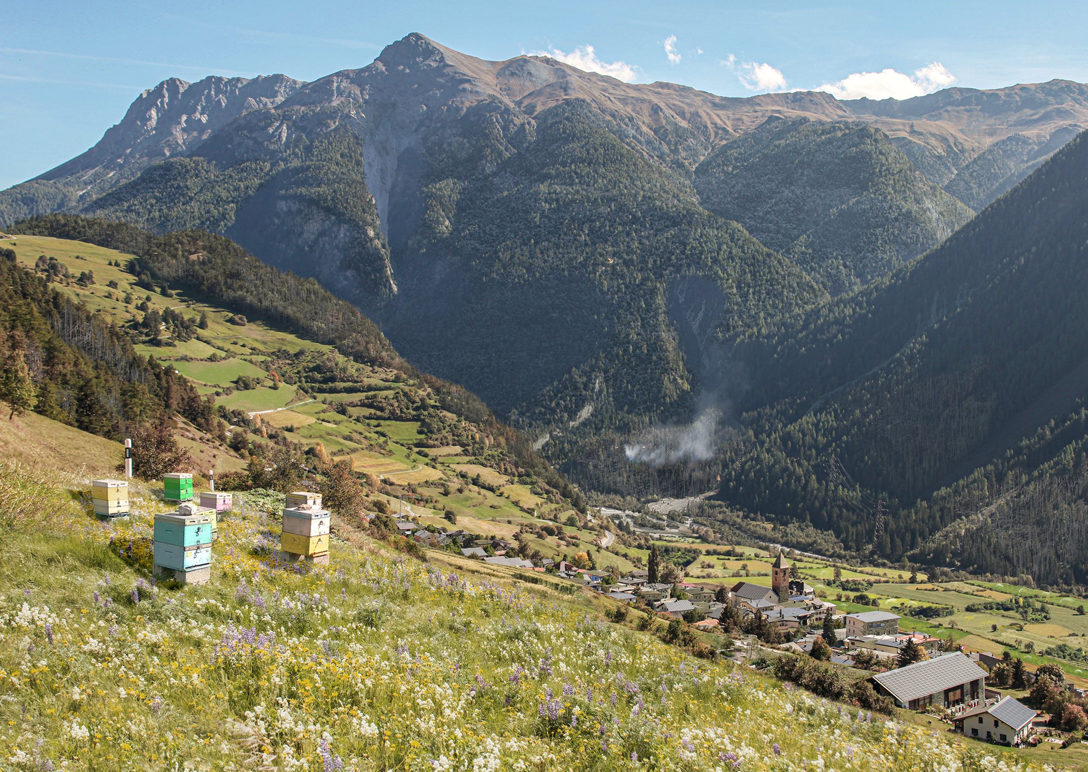 Ramosch 4 Grad, proaktiv, ikonaut