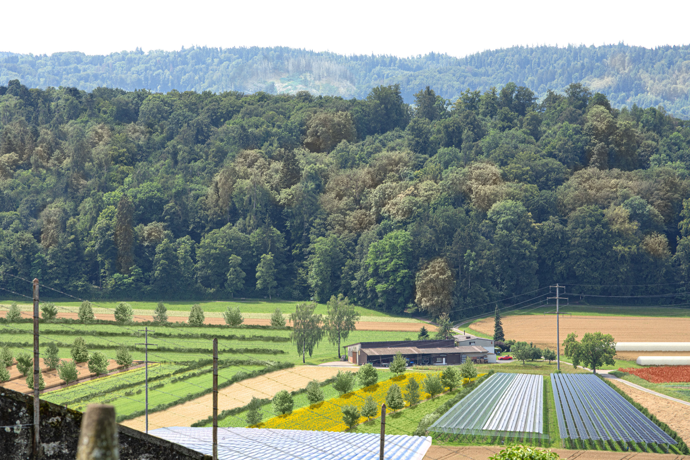 Landschaftsszenarien, Lenzburg, zoom2, proaktiv, ikonaut