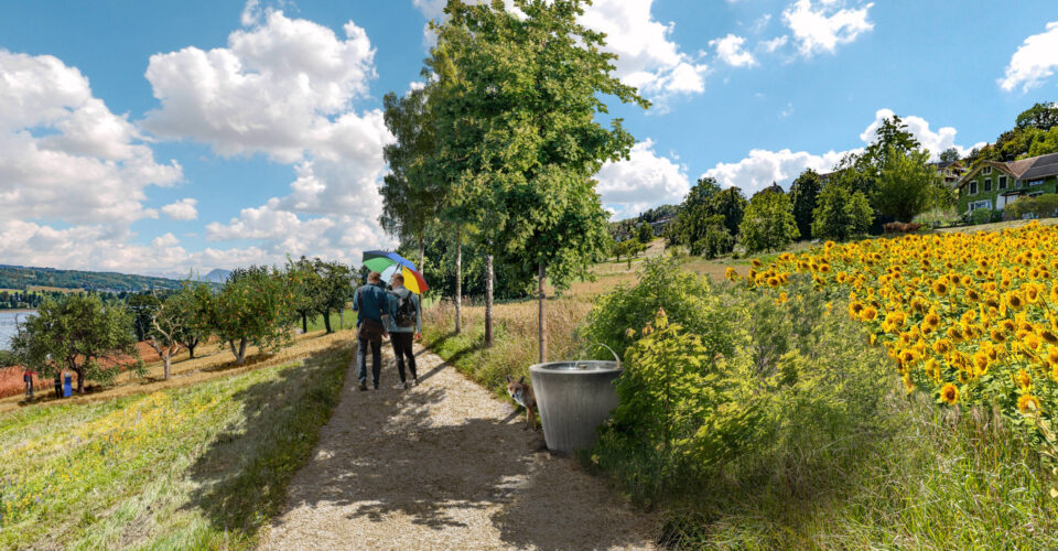 Landschaftsszenarien, ikonaut, BG