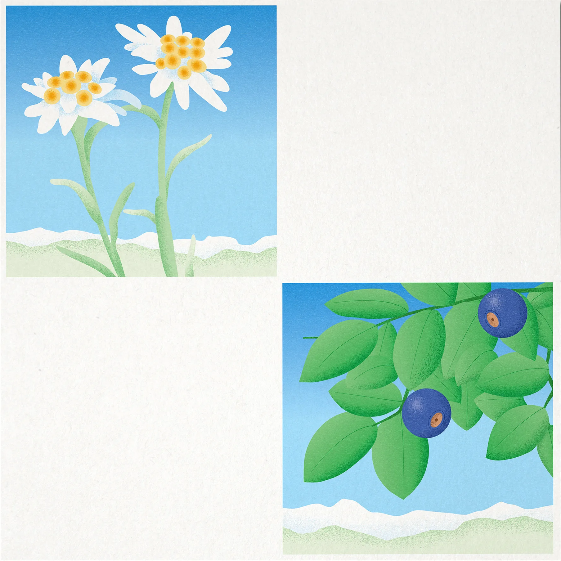 Pflanzen, SLF, ikonaut