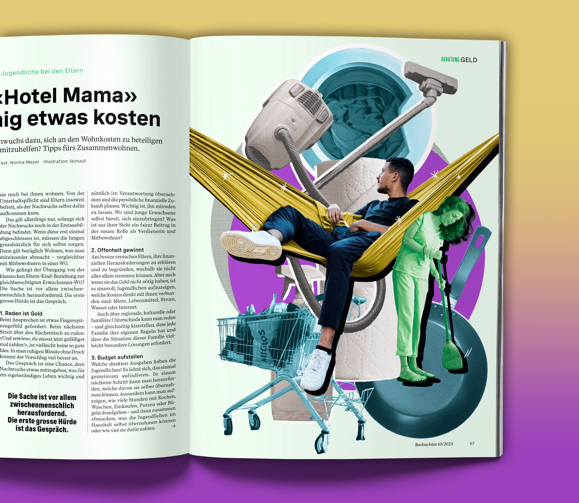 Kostgeld, Beobachter, Beratung, ikonaut