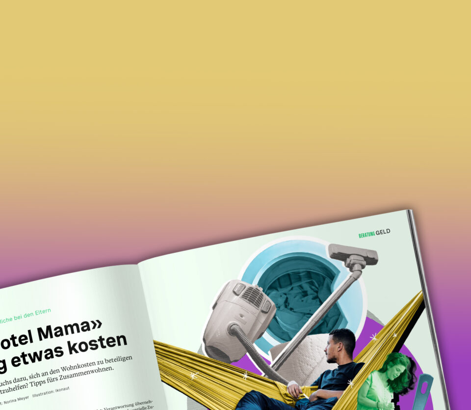 Kostgeld, Beobachter, Beratung, ikonaut, BG