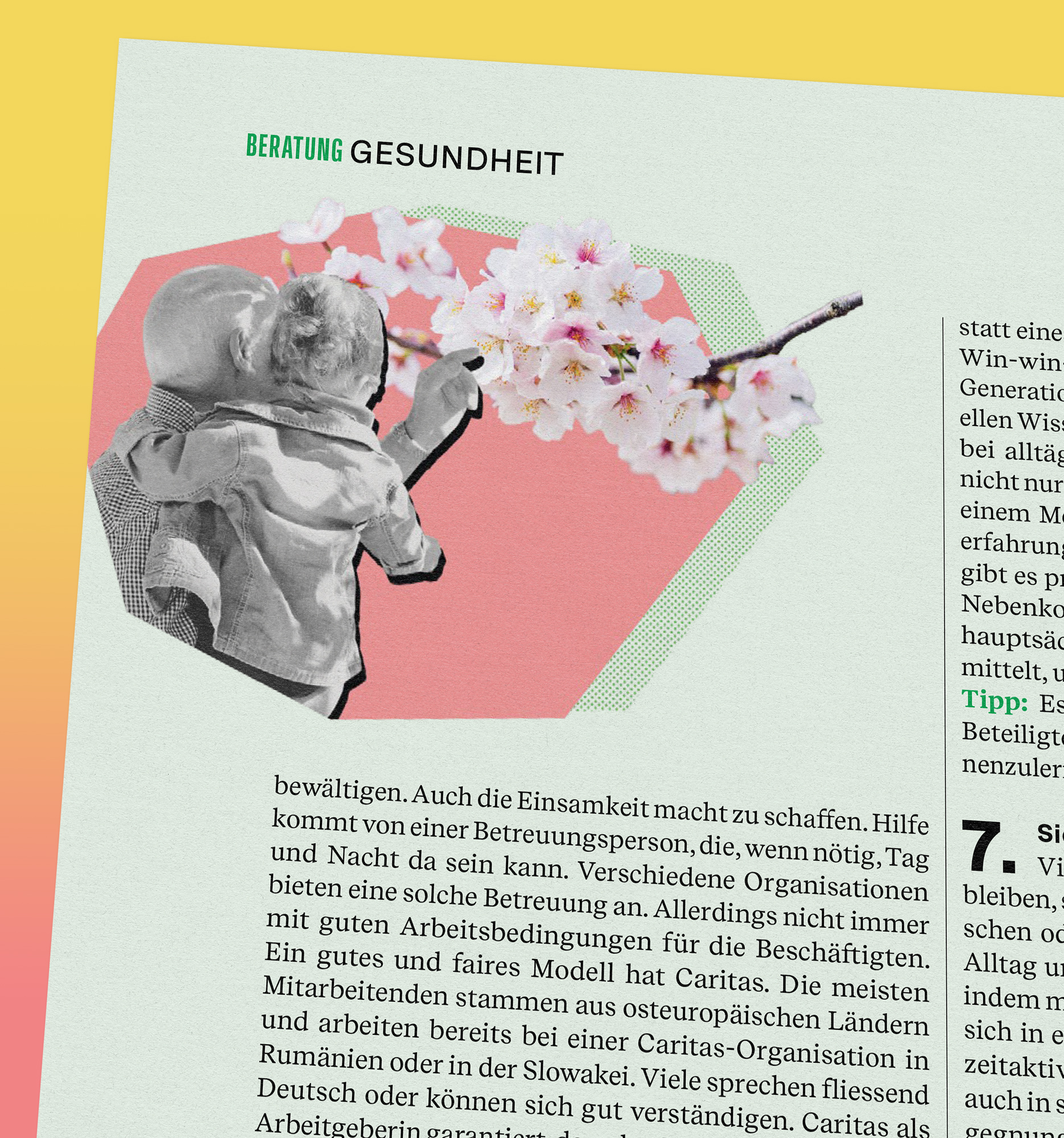 Wohnen, Beobachter, Beratung, ikonaut