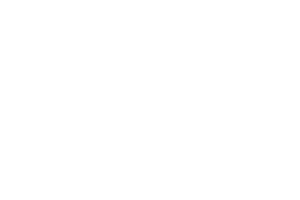 Logo Radix