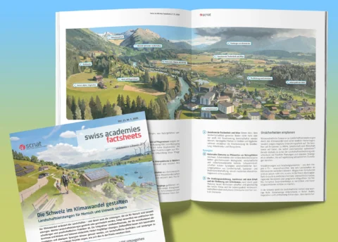 Illustrationen zur Landschaftsentwicklung