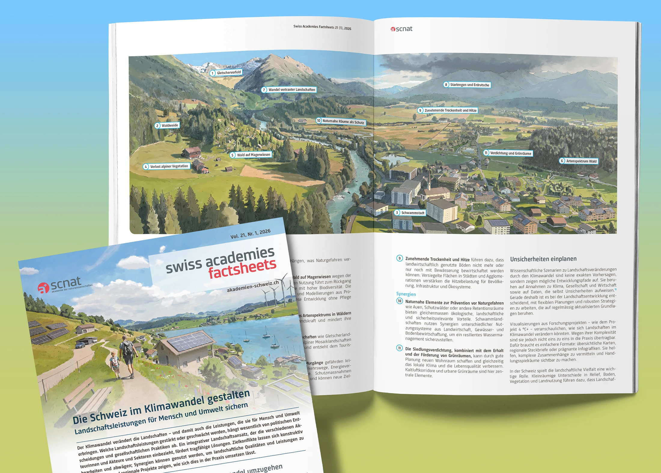 Factsheet, Magazin, Landschaftsentwicklung, ikonaut